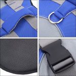 reflective dachshund life jacket