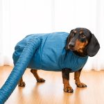 speedy dachshund drying bag