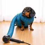 speedy dachshund drying bag