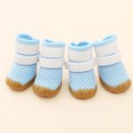summer breathable dachshund shoes