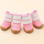 summer breathable dachshund shoes