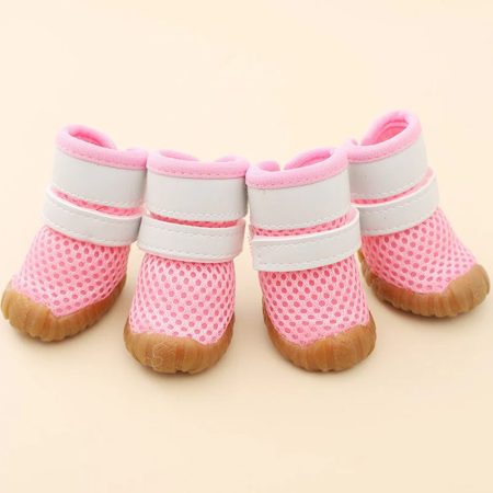 summer breathable dachshund shoes
