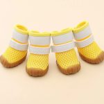 summer breathable dachshund shoes