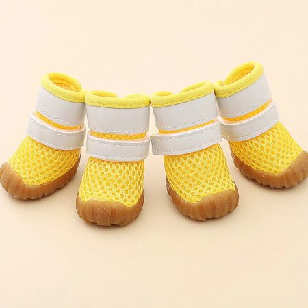 summer breathable dachshund shoes