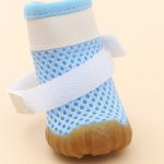 summer breathable dachshund shoes