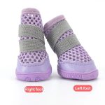 summer mesh dachshund shoes