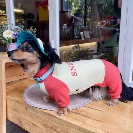 sunprotect dachshund onesie