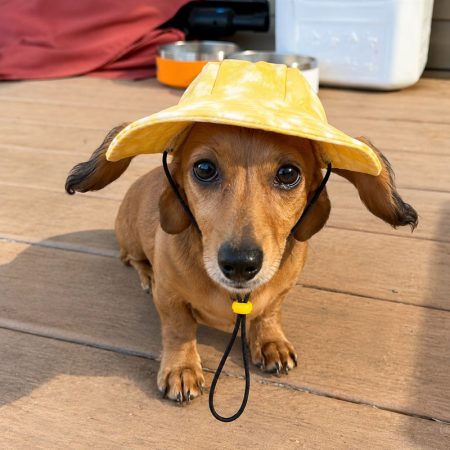tie-dye-dachshund bucket hat