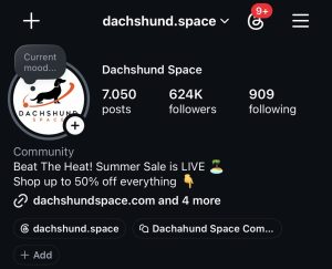 Screenshot instagram dachshund space
